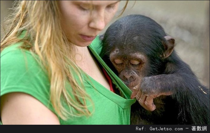 美女慘遭好色動物非禮的尷尬瞬間圖片3