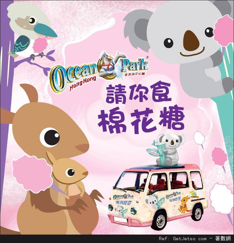 海洋公園免費派發可愛樹熊棉花糖(15年3月28日)圖片1