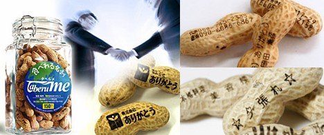令人驚嘆的創意禮物(多圖)圖片12