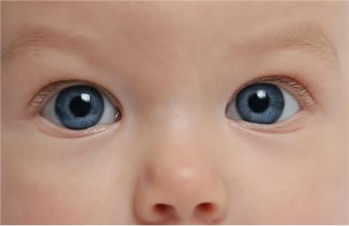 嬰幼兒視力保健，爸媽怎麼做？圖片1