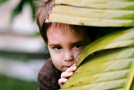 4-5歲：孩子膽小和爸爸經常不在身邊有關係嗎？圖片1