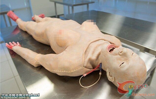美研發逼真醫用屍體模型，會流血能呼吸圖片1