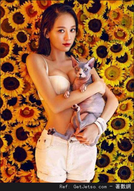 陳喬恩半裸抱貓性感寫真照片圖片23