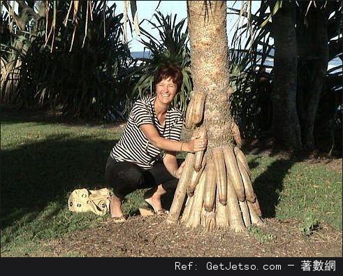 那些色色搞笑圖，太讓人崩潰了(多圖)圖片2