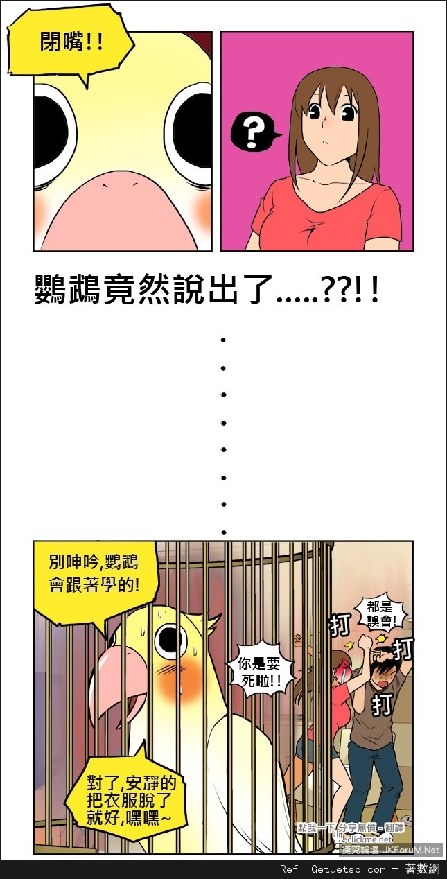 如果男女朋友要恩愛的話，記得旁邊不能有鸚鵡阿！圖片3