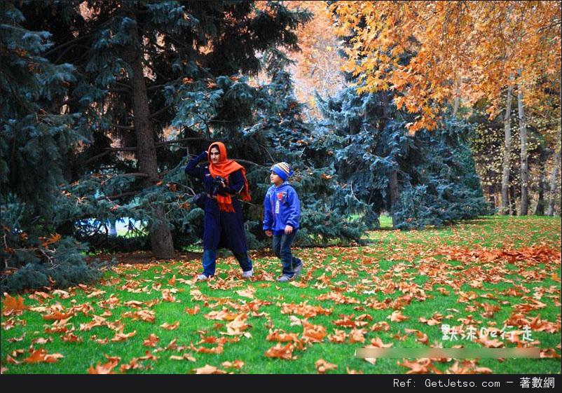 非同尋常的伊朗婦女(多圖)圖片26