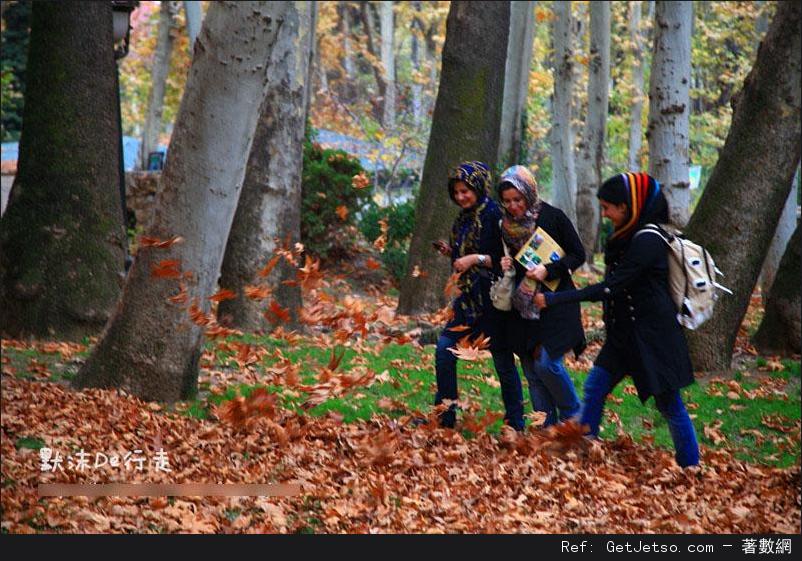 非同尋常的伊朗婦女(多圖)圖片16