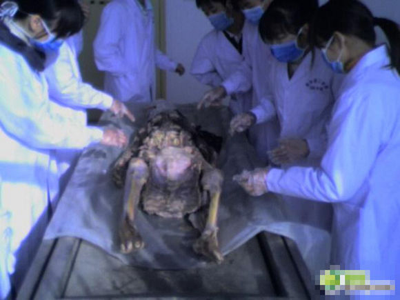 探秘高校解剖室內景,真的好恐怖圖片2