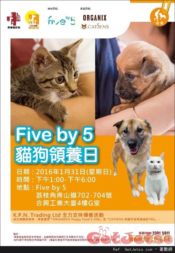 NPV X Five by 5貓狗領養日(16年1月31日)圖片1