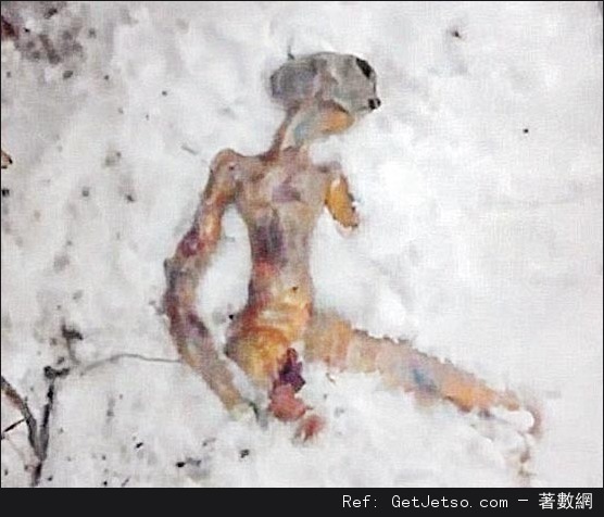 俄婦：ET屍藏雪櫃頭大臂幼，像魚又像人圖片4