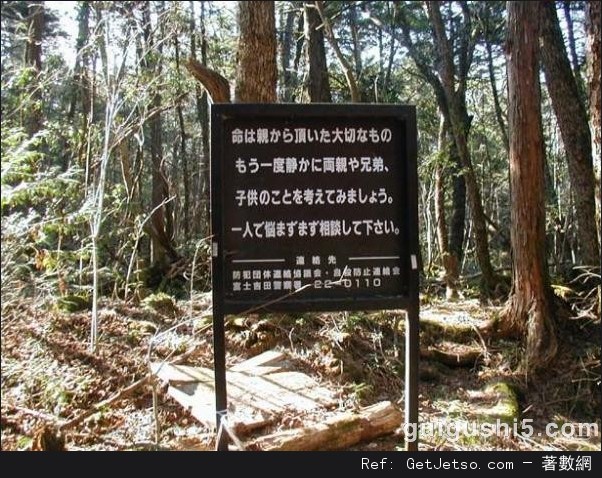 日本富士山下恐怖的「自殺森林」，膽小勿入圖片2