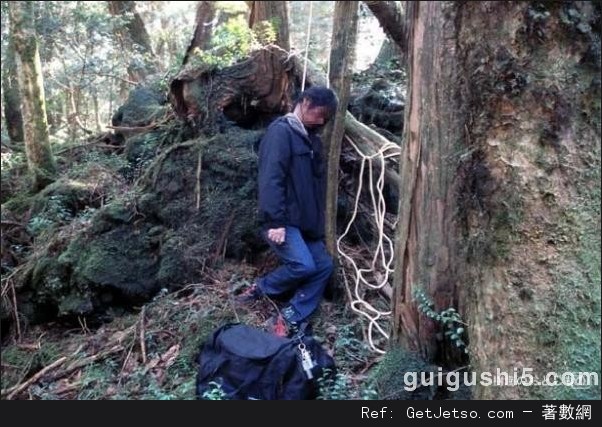 日本富士山下恐怖的「自殺森林」，膽小勿入圖片16