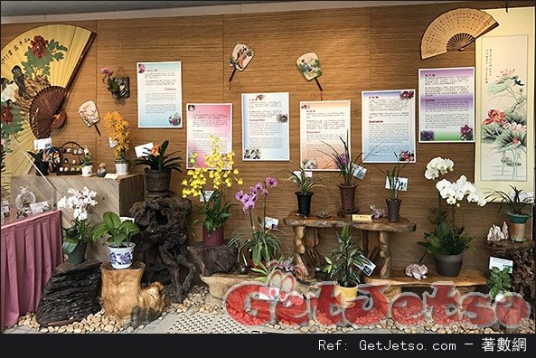 香港公園「蘭花展」(至17年1月15日)圖片1