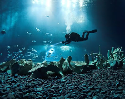 世界11大海底墳墓圖片9