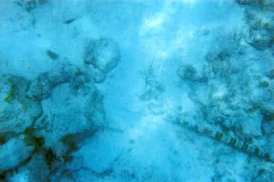 世界11大海底墳墓圖片6