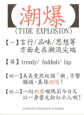 香港潮語手冊圖片9