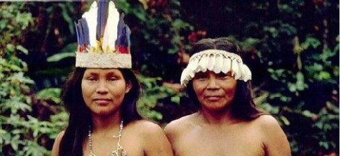 巴西雨林中的原始裸體部落,慘無人道的割禮圖片5