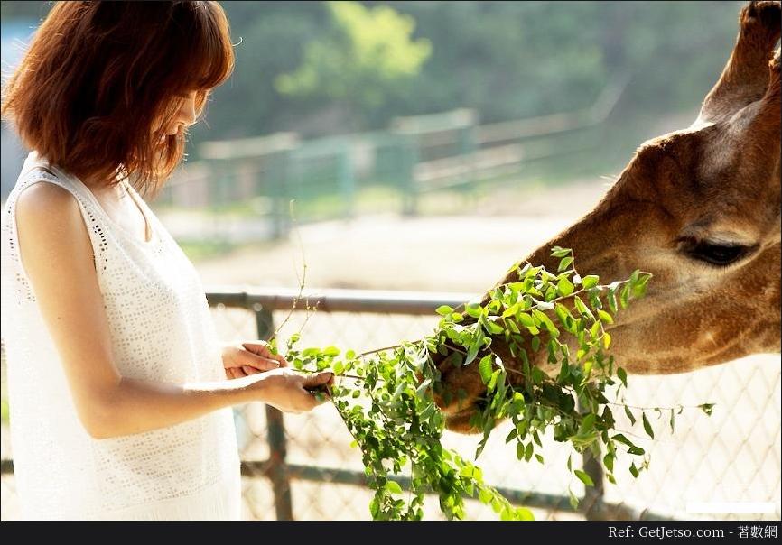 李菲兒夏日寫真清涼著裝與萌寵互動照片圖片3