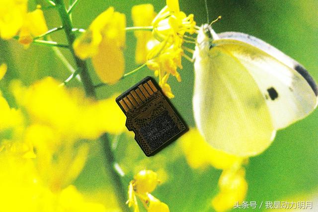 東芝M302 128GB micro SD評測圖片14