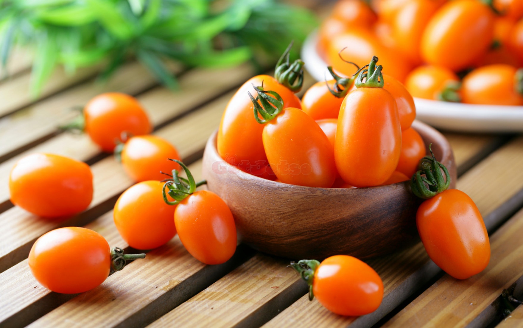 小番茄的好處、禁忌、功效及食療圖片1